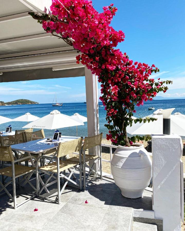 Anemoni Beach Hotel Skiáthos Eksteriør bilde
