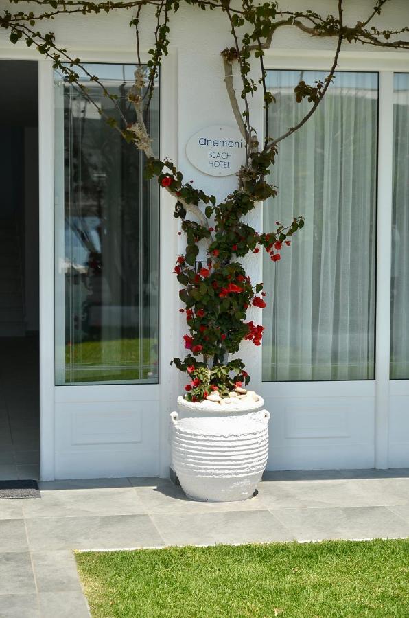 Anemoni Beach Hotel Skiáthos Eksteriør bilde