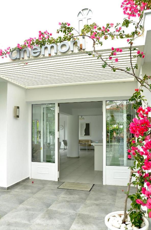 Anemoni Beach Hotel Skiáthos Eksteriør bilde